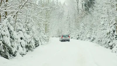 A car driving away along a snow-covered forest road between snow-laden trees