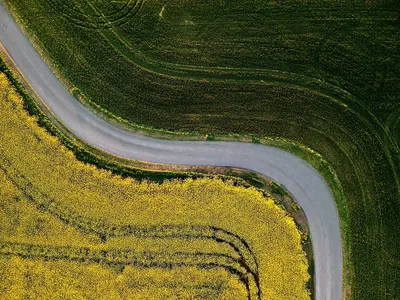 Aerial view of a country road curving between green and yellow fields