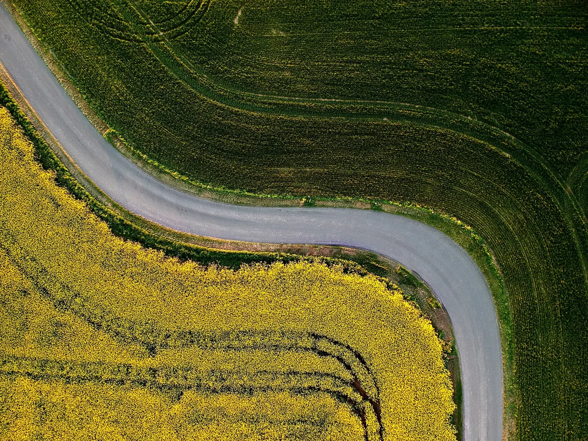 Aerial view of a country road curving between green and yellow fields