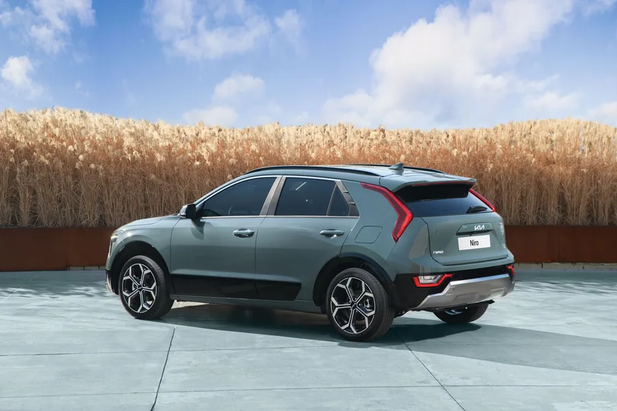 A green Kia Niro crossover parked beside a field of tall reeds